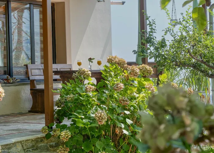 Maria\'S House